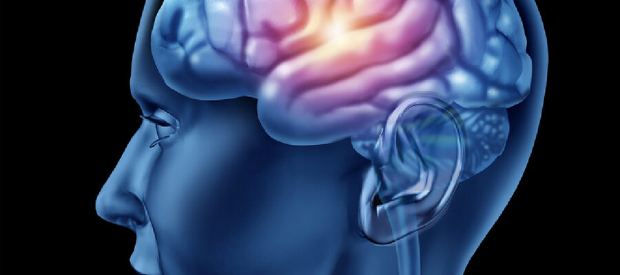 Homecare in Mountain View CA: Senior Brain Sharpness